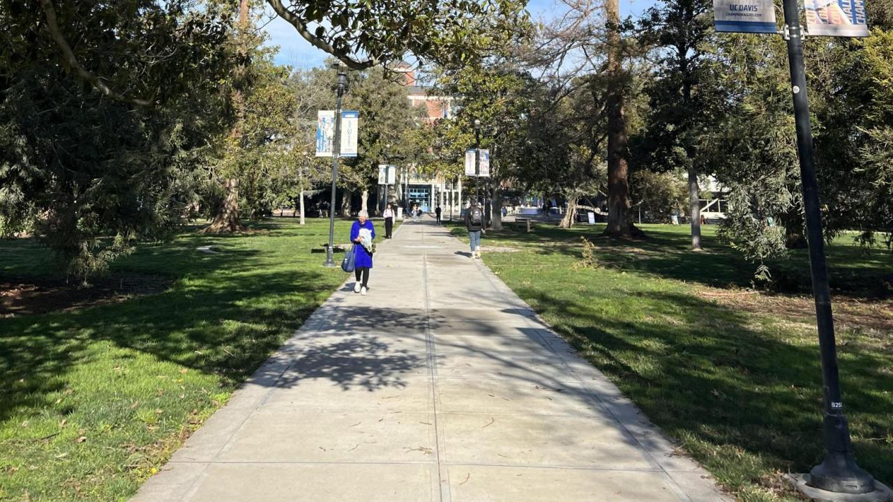 A picture of the UC Davis campus